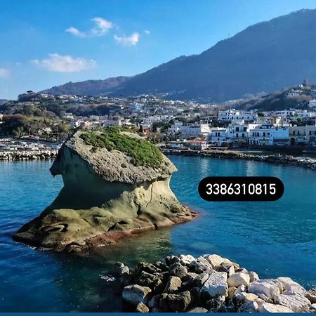 Zaras 11 Διαμέρισμα Lacco Ameno  Εξωτερικό φωτογραφία
