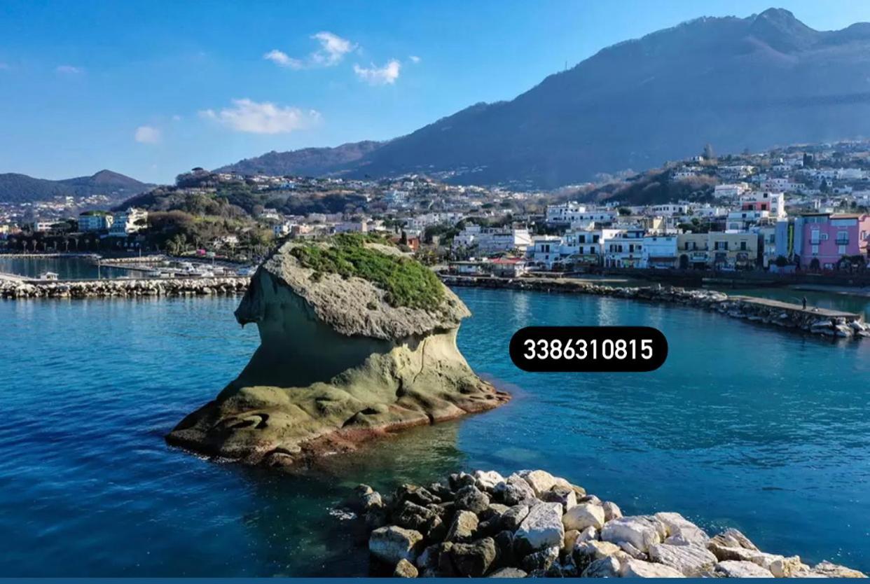 Zaras 11 Διαμέρισμα Lacco Ameno  Εξωτερικό φωτογραφία